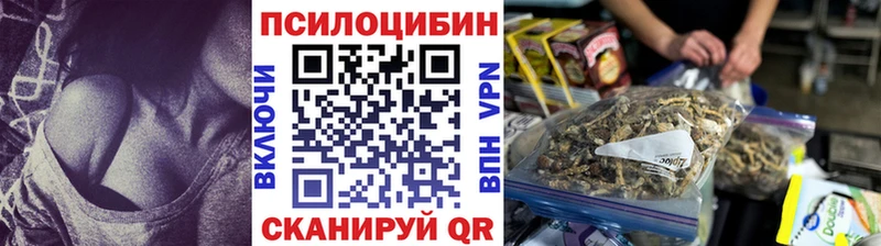 Купить  Ковдор  Галлюциногенные грибы ЛСД 